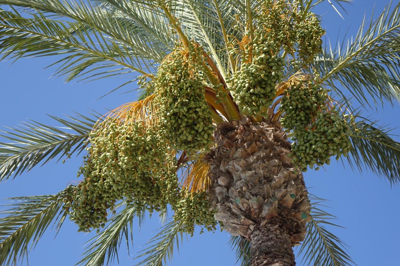 The Heart Of Hacienda Riquelme Sucina